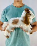 19-inch Weighted Goat, up to 4lbs