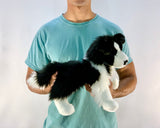 15-inch Weighted Border Collie, up to 3lbs