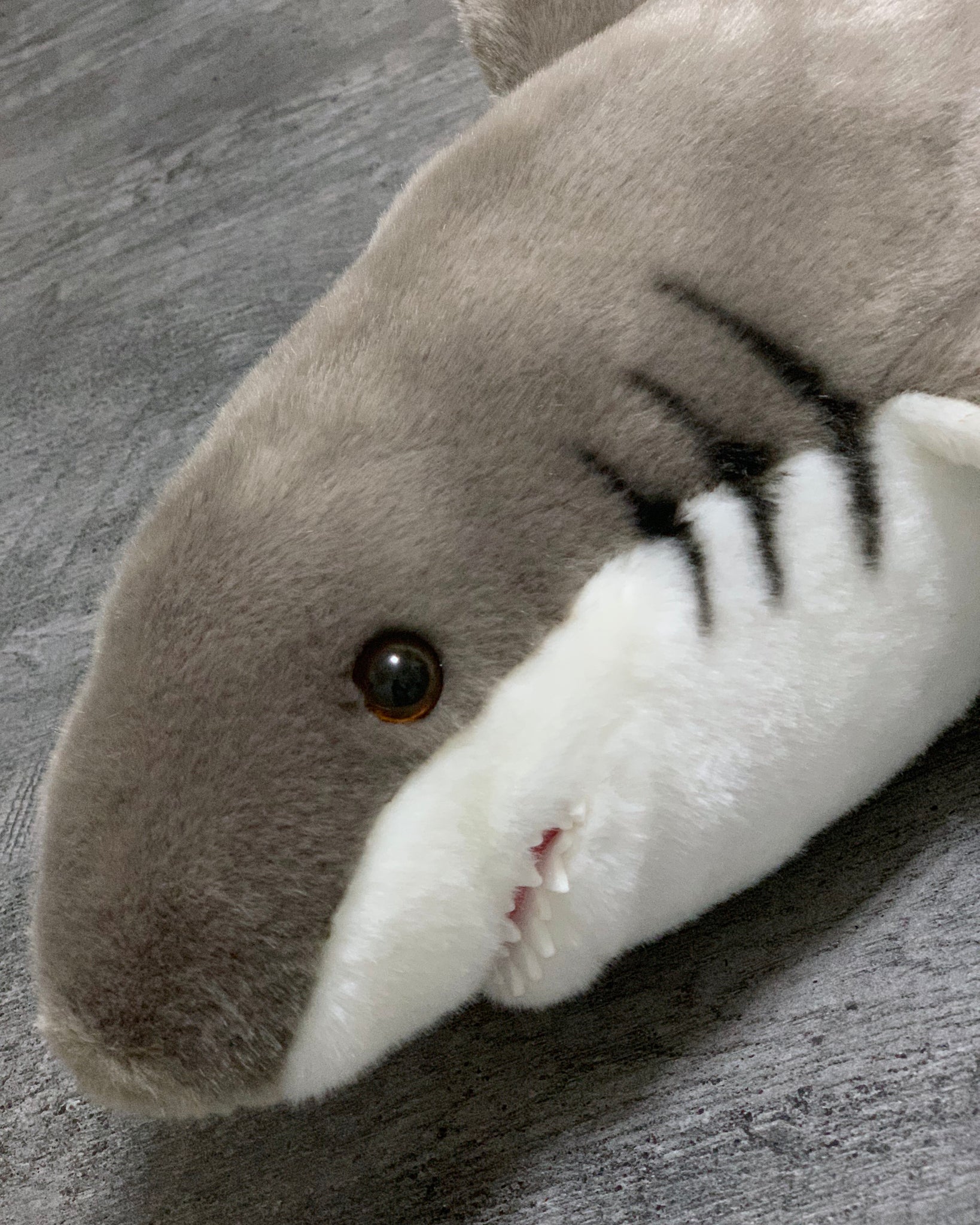 Simulation Scared Shark Plush Toys, Scared Shark Stuffed Animals Cute Simulation Scared Shark Plush Toys, Scared Shark Stuffed Animals Cute