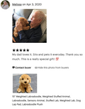 Weighted Labradoodle – 15" (Up to 3 lbs)