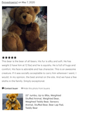 22-inch Weighted Teddy Bear, up to 12lbs