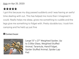 13-inch by 24-inch Weighted Spider, Tarantula, up to 4lbs
