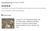 13-inch by 24-inch Weighted Spider, Tarantula, up to 4lbs