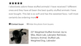 23-inch Weighted Black Labrador Retriever, up to 9lbs